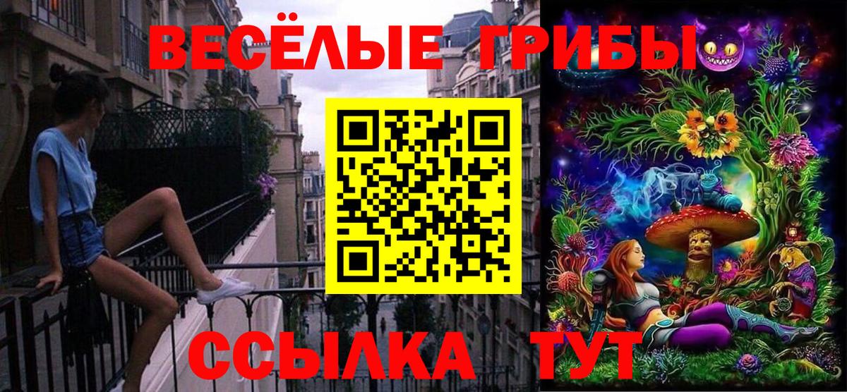 Димитровград  Галлюциногенные грибы Magic Shrooms  Вход с VPN 