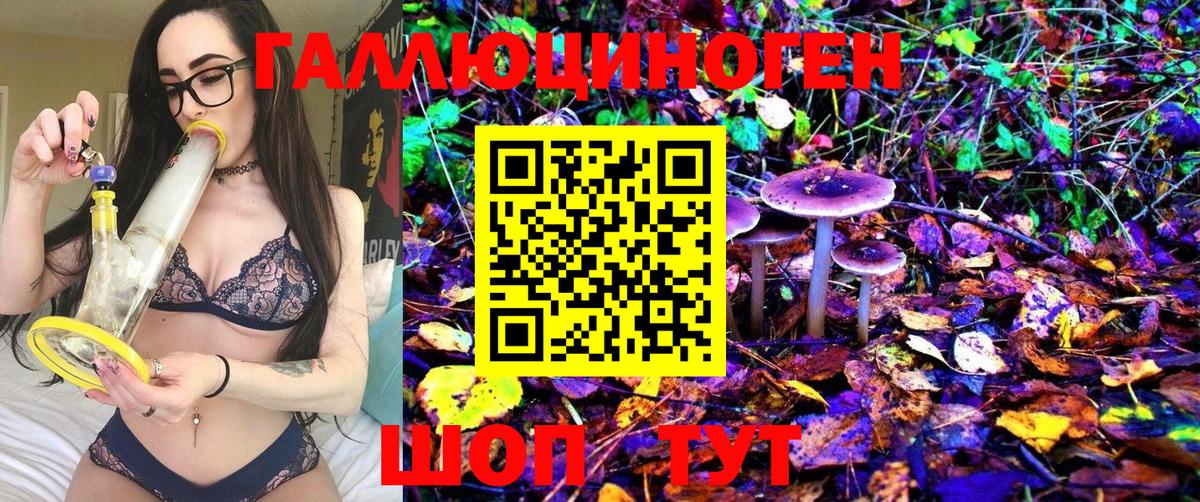 Псилоцибиновые грибы Psilocybine cubensis Димитровград